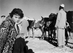 Legend of the Lost (1957), Sophia Loren’s first big Hollywood film. The movie was shot in the Libyan desert, about five hundred miles south of Tripoli; John Wayne and Rossano Brazzi were the stars. Carlo Ponti was connected to the film. He and Loren weren’t yet married, but he sent along a sort of chaperone – a communist professor from Rome University. 

Everyone was crazy about Sophia, including the cameraman, Jack Cardiff. Cardiff was so busy lighting Loren, a second cameraman had to be brought in from Rome to see that Wayne and Brazzi were properly lit. The film company shot everyday except Sunday, which was my day to get the occasional still shot of Sophia. Cardiff, who was also a photographer, would pack a camera, tripod and iconic lunch and disappear with Sophia to photograph her. Where was the chaperone? While all this was going on, Cardiff’s wife Julie was on the set. At communal dinners, Cardiff would sit opposite Loren, his wife would sit next to him, and Cardiff would stare at Sophia, ignore his wife, and not eat anything. It was like an Italian comic opera.